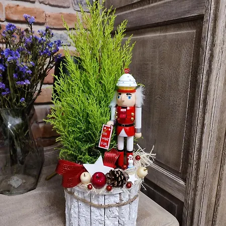 Pilsudskiego Zacisze Centrum Rzeszow