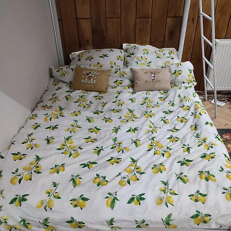 Pilsudskiego Zacisze Centrum Rzeszow